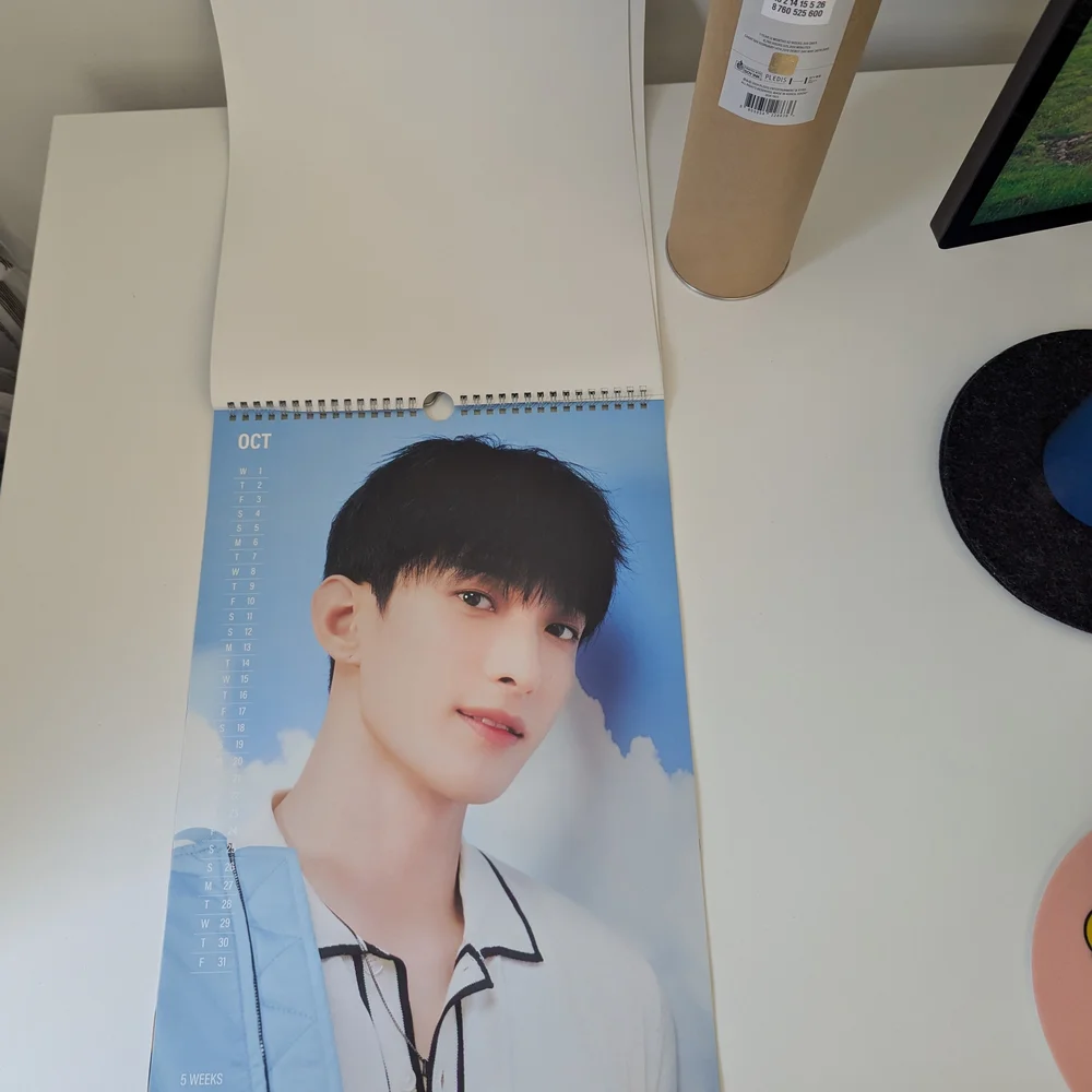 SEVENTEEN 2025 SEASON'S GREETINGS WALL CALENDAR POSTER MINGYU